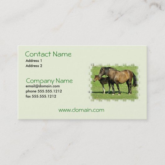 Mare en Foal Visitekaartje (Voorkant)