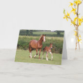 Mare en kalveren die samen lopen kaart (Gele Bloem)