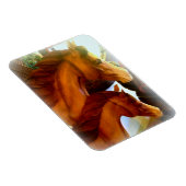 mare en pony fotomagneet magneet (Rechterzijde)