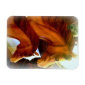 mare en pony fotomagneet magneet (Horizontaal)