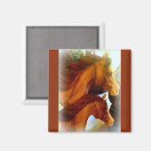 mare en pony magnet (Voorkant / Achterkant)