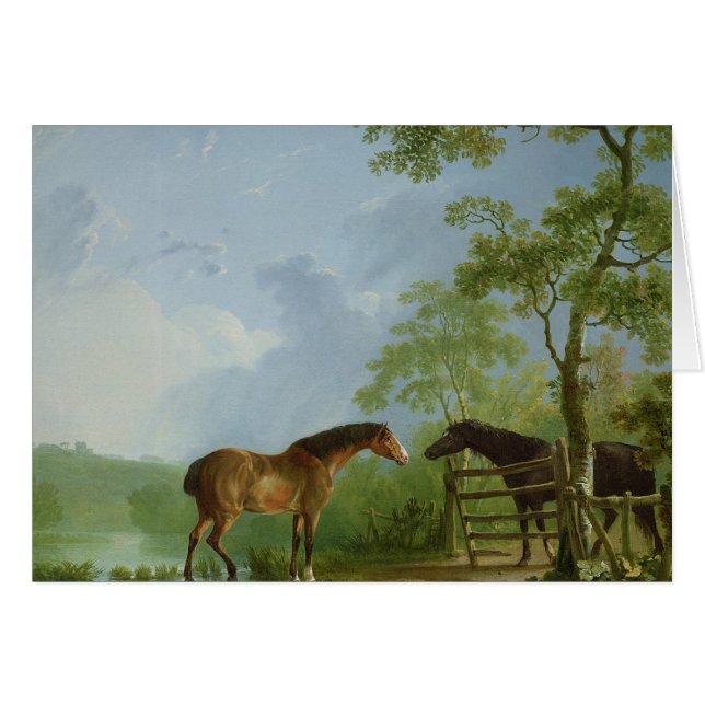 Mare en Stallion in een landschap (Voorkant Horizontaal)