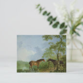 Mare en Stallion in een landschap Briefkaart (Staand voorkant)