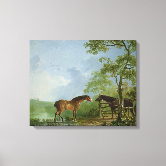 Mare en Stallion in een landschap Canvas Afdruk (Voorkant)