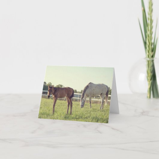 Mare & Foal Horses Note Kaart (Voorkant)