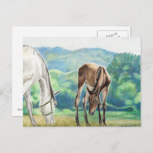 Mare & Foal Original Art Post Card Briefkaart (Voorkant / Achterkant)