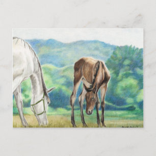Mare & Foal Original Art Post Card Briefkaart