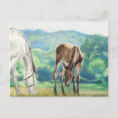 Mare & Foal Original Art Post Card Briefkaart (Voorkant)