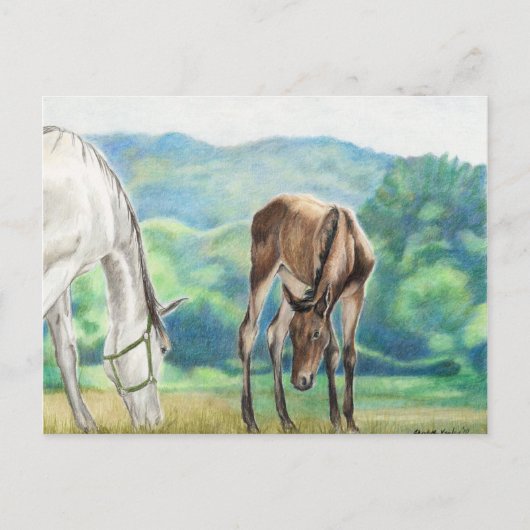 Mare & Foal Original Art Post Card Briefkaart (Voorkant)