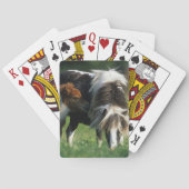 Mare & Foals 2 Miniatuur Speelkaarten (Achterkant)