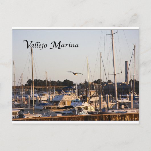 Mare Island en Vallejo Marina Briefkaart (Voorkant)