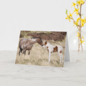 Mare met Colt Kaart (Gele Bloem)