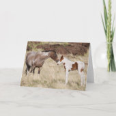 Mare met Colt Kaart (Voorkant)