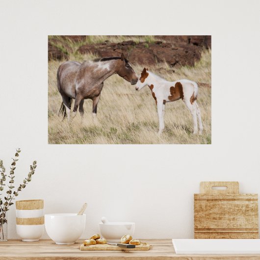 Mare met Colt Poster (Keuken)