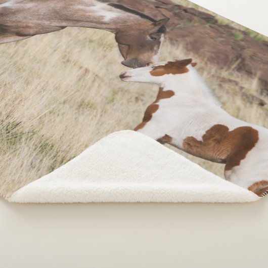 Mare met Colt Sherpa Deken (3/4)