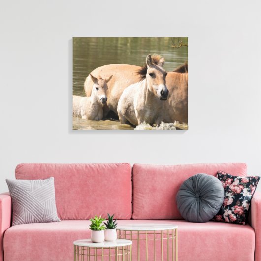 Mare met Foal Crossing a River Canvas Afdruk (Insitu (Woonkamer))