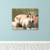 Mare met Foal Crossing a River Canvas Afdruk (Insitu (Houten vloer))