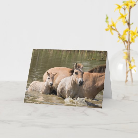 Mare met Foal Crossing a River Kaart (Gele Bloem)