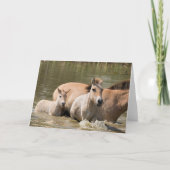 Mare met Foal Crossing a River Kaart (Voorkant)