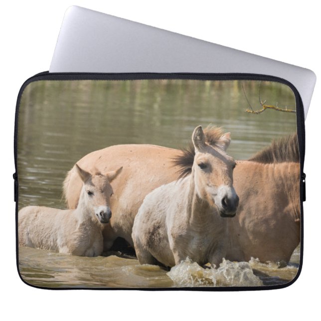 Mare met Foal Crossing a River Laptop Sleeve (Voorkant)