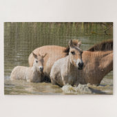 Mare met Foal Crossing a River Legpuzzel (Horizontaal)