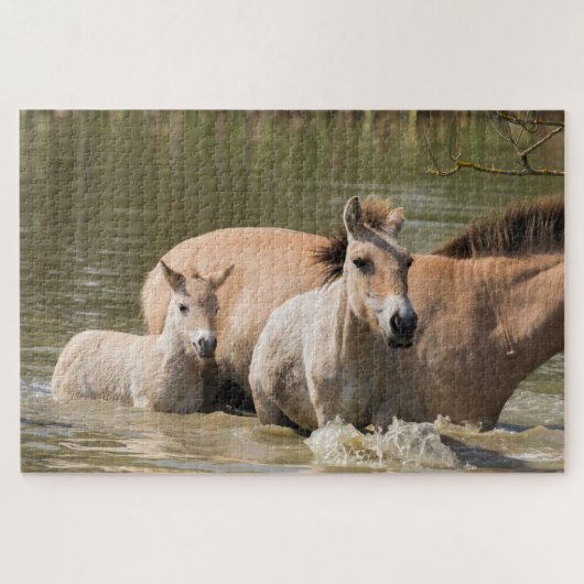 Mare met Foal Crossing a River Legpuzzel (Horizontaal)
