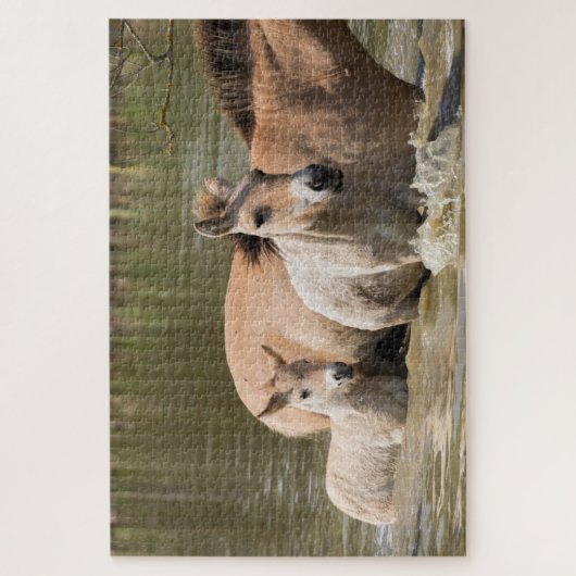 Mare met Foal Crossing a River Legpuzzel (Verticaal)
