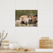 Mare met Foal Crossing a River Poster (Keuken)