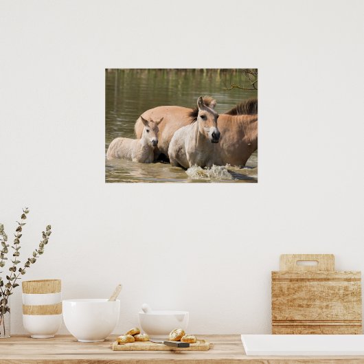 Mare met Foal Crossing a River Poster (Keuken)