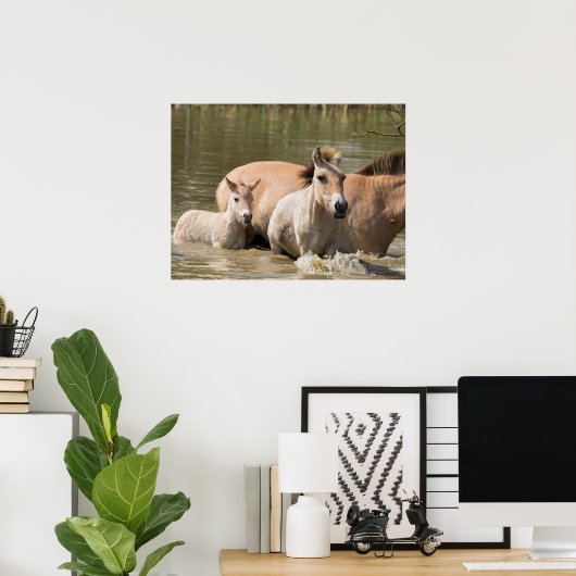 Mare met Foal Crossing a River Poster (Thuiskantoor)
