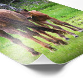 Mare met kleur - dichtbij God 5 x 7 afdrukken Foto Afdruk (Hoek)