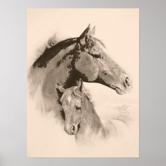 Mare-n-Foal met houtskool-effect-tint Poster (Voorkant)