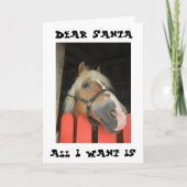 MARE WIL DIT JAAR "ALLEEN ZIJN VULLING" VAN SANTA FEESTDAGEN KAART (Voorkant)