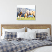 Mare with Foal, Shetland Islands, Scotland Canvas Afdruk (Insitu (Slaapkamer))