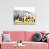 Mare with Foal, Shetland Islands, Scotland Canvas Afdruk (Insitu (Woonkamer))