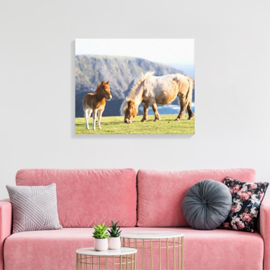 Mare with Foal, Shetland Islands, Scotland Canvas Afdruk (Insitu (Woonkamer))