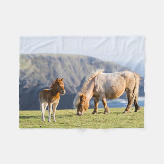 Mare with Foal, Shetland Islands, Scotland Fleece Deken (Voorkant (Horizontaal))