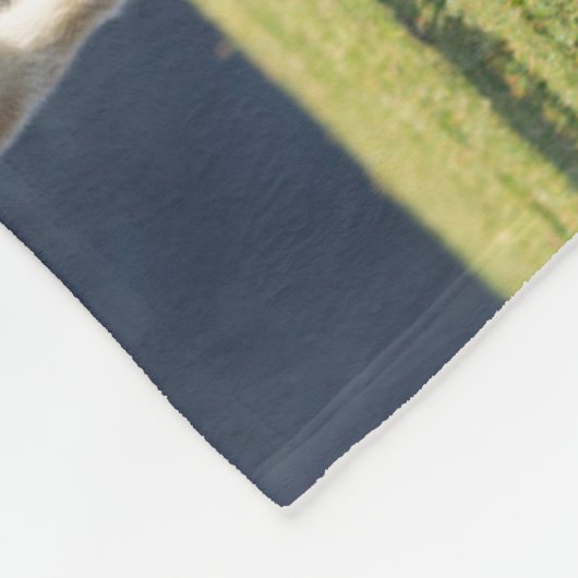 Mare with Foal, Shetland Islands, Scotland Fleece Deken (Hoek)