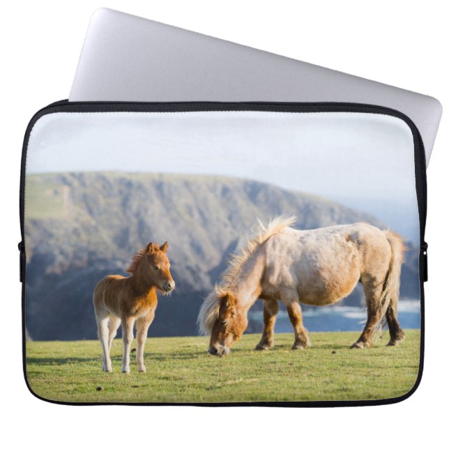 Mare with Foal, Shetland Islands, Scotland Laptop Sleeve (Voorkant)