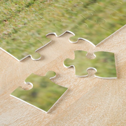 Mare with Foal, Shetland Islands, Scotland Legpuzzel (Zijkant)