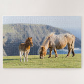 Mare with Foal, Shetland Islands, Scotland Legpuzzel (Horizontaal)