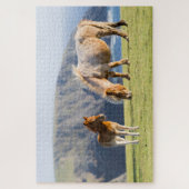 Mare with Foal, Shetland Islands, Scotland Legpuzzel (Verticaal)