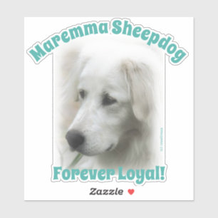 Maremma herdershond Forever Loyale doorzichtige st Sticker
