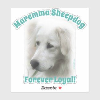 Maremma herdershond Forever Loyale doorzichtige st Sticker