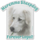 Maremma herdershond Forever Loyale doorzichtige st Sticker (Voorkant)