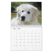 Maremma sheepdog 2022 SmallCalendar, White Kalender (Mar 2027)