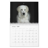 Maremma sheepdog 2022 SmallCalendar, White Kalender (Jan 2027)