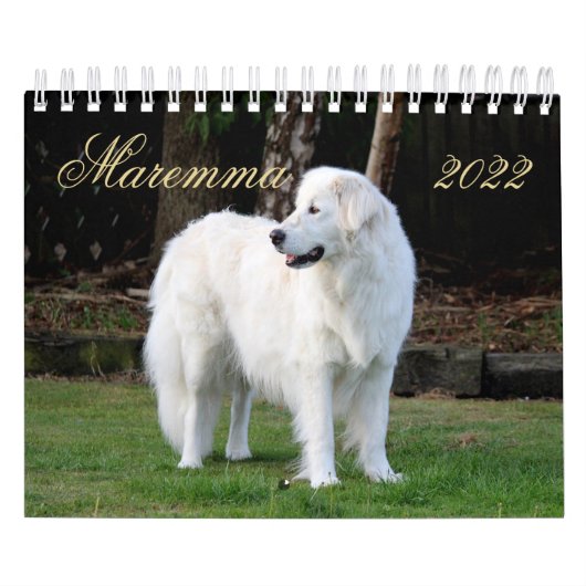 Maremma sheepdog 2022 SmallCalendar, White Kalender (Hoes)