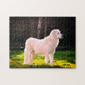 Maremma Sheepdog Beauty Legpuzzel (Horizontaal)