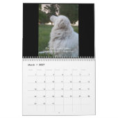 Maremma Sheepdog Calendar Kalender (Mar 2027)